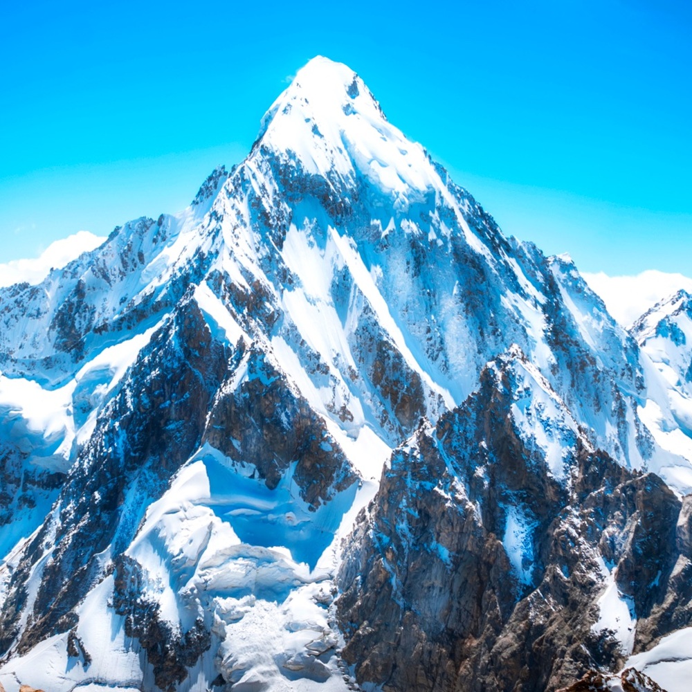 Meet your Posher, Adam